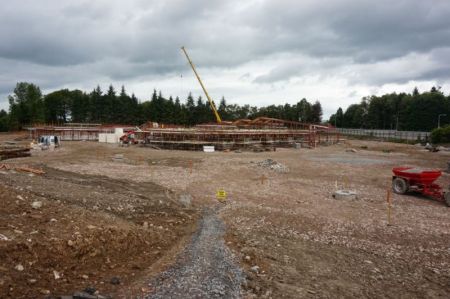 The school emerges - August 2015